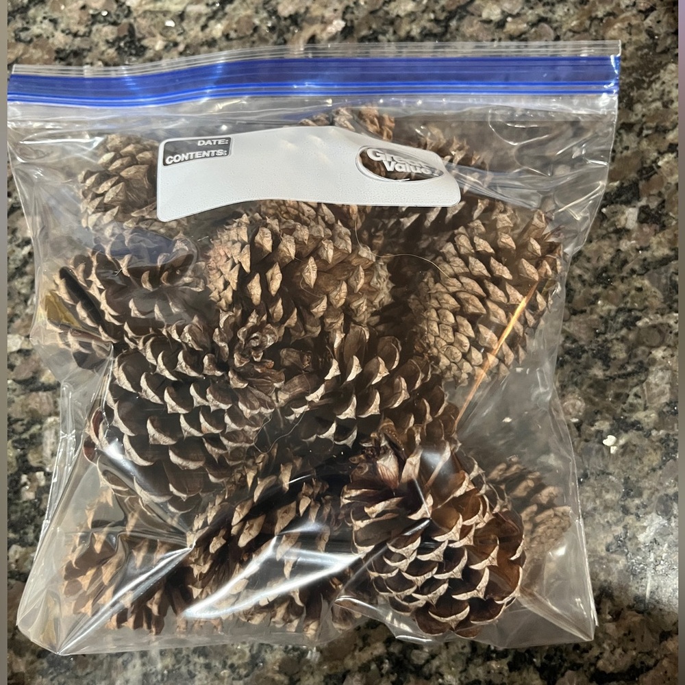 Fresh Pinecones!